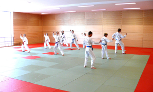 Sport- und Bildungszentrum Malente Budohalle Judo
