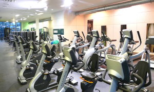 Sport- und Bildungszentrum Malente Fitness Studio 17
